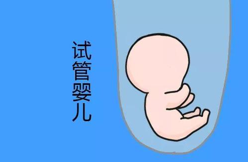 中国供卵代孕中心